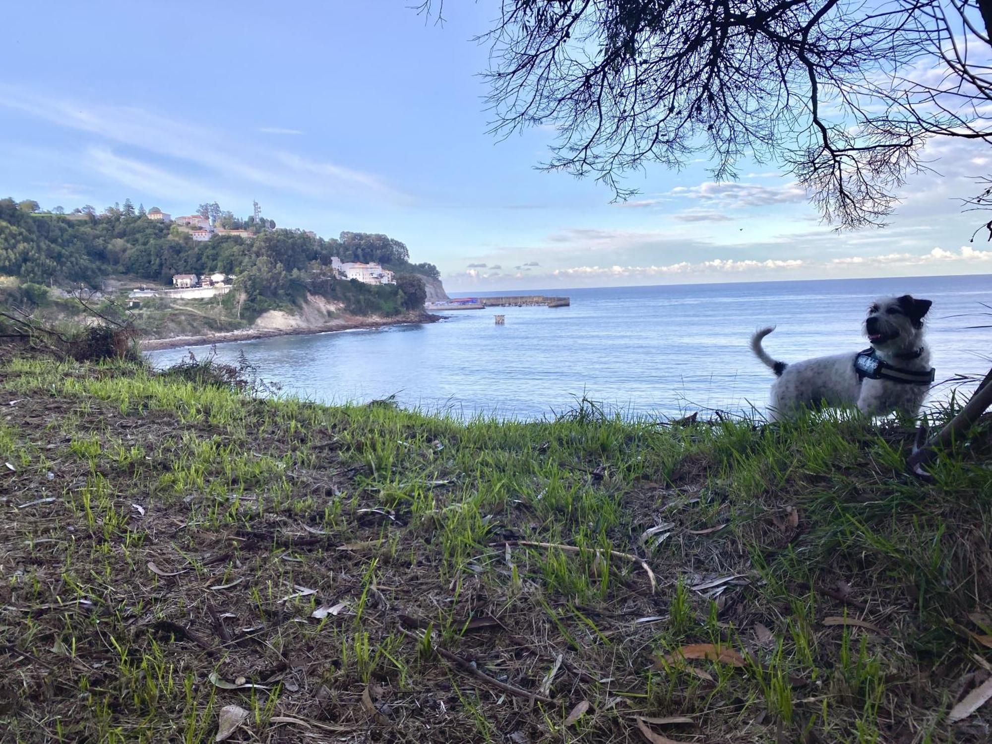 Respirando Salitre Apartamento En Lastres Exterior photo